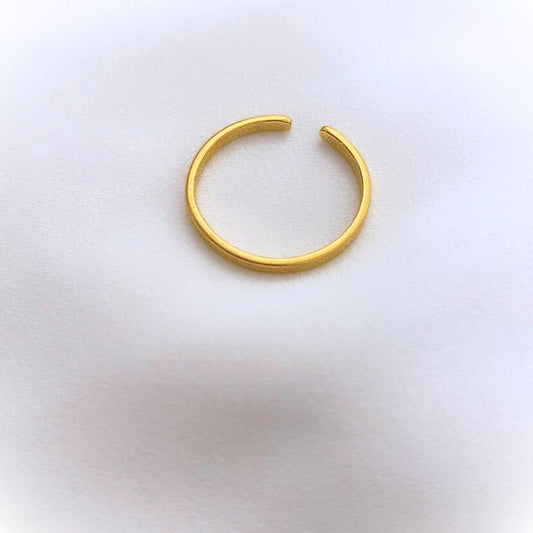 Ring "Clean"