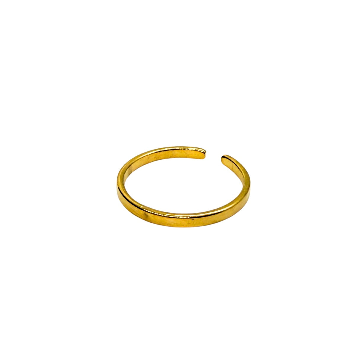 Ring "Clean"